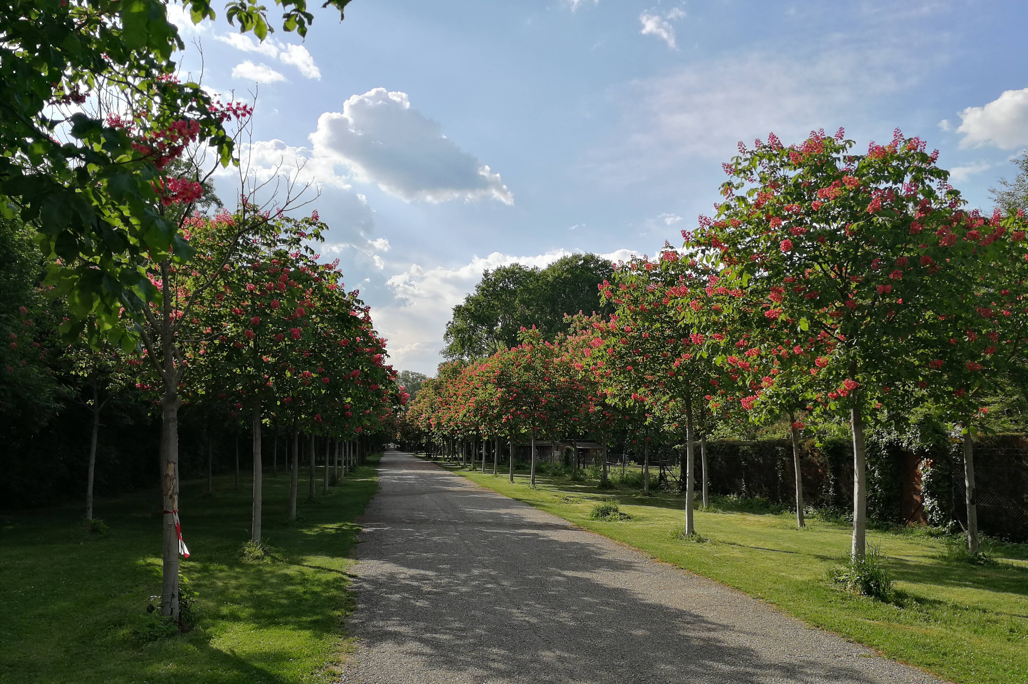 Schloss Kottingbrunn