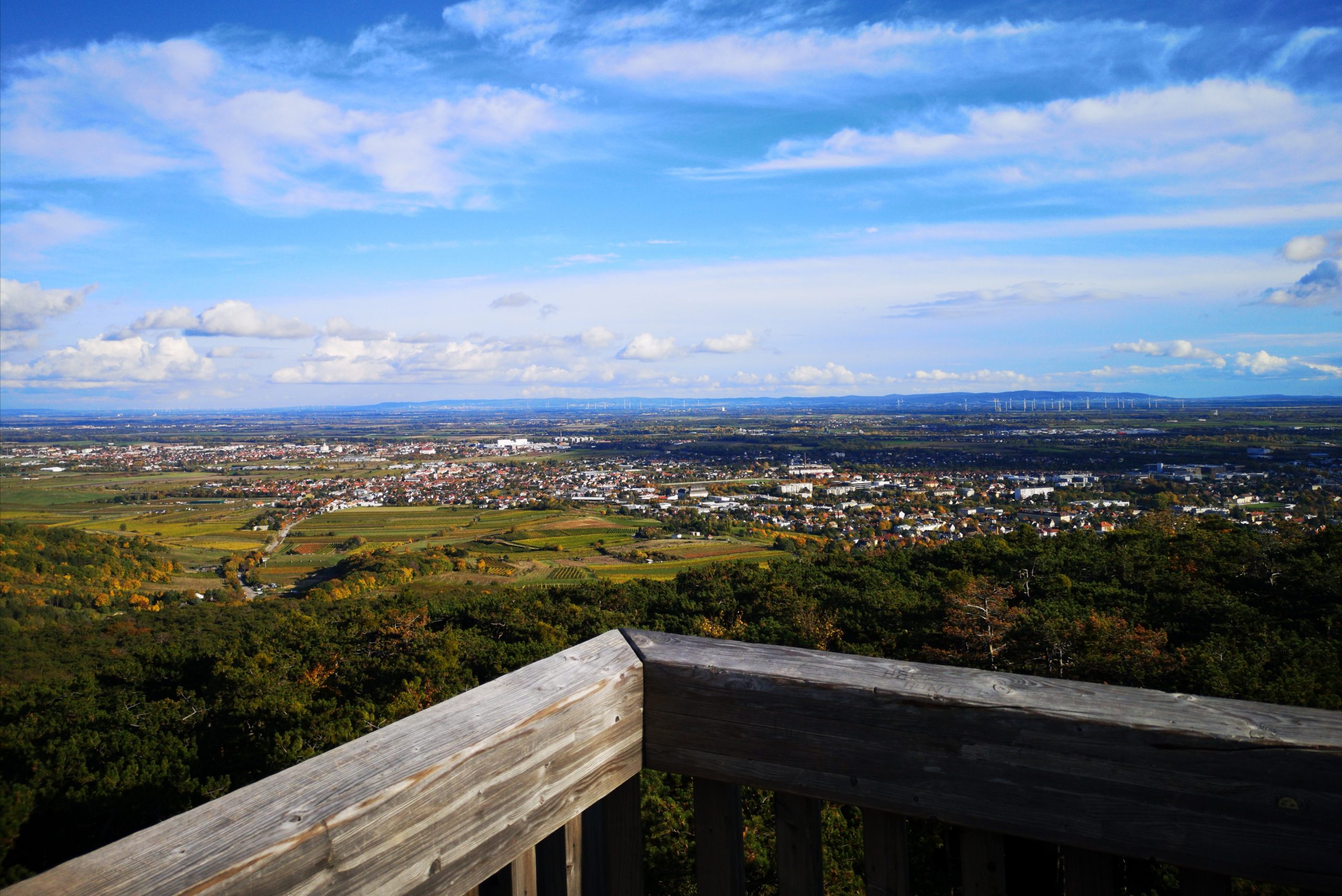 Wandern in der Umgebung