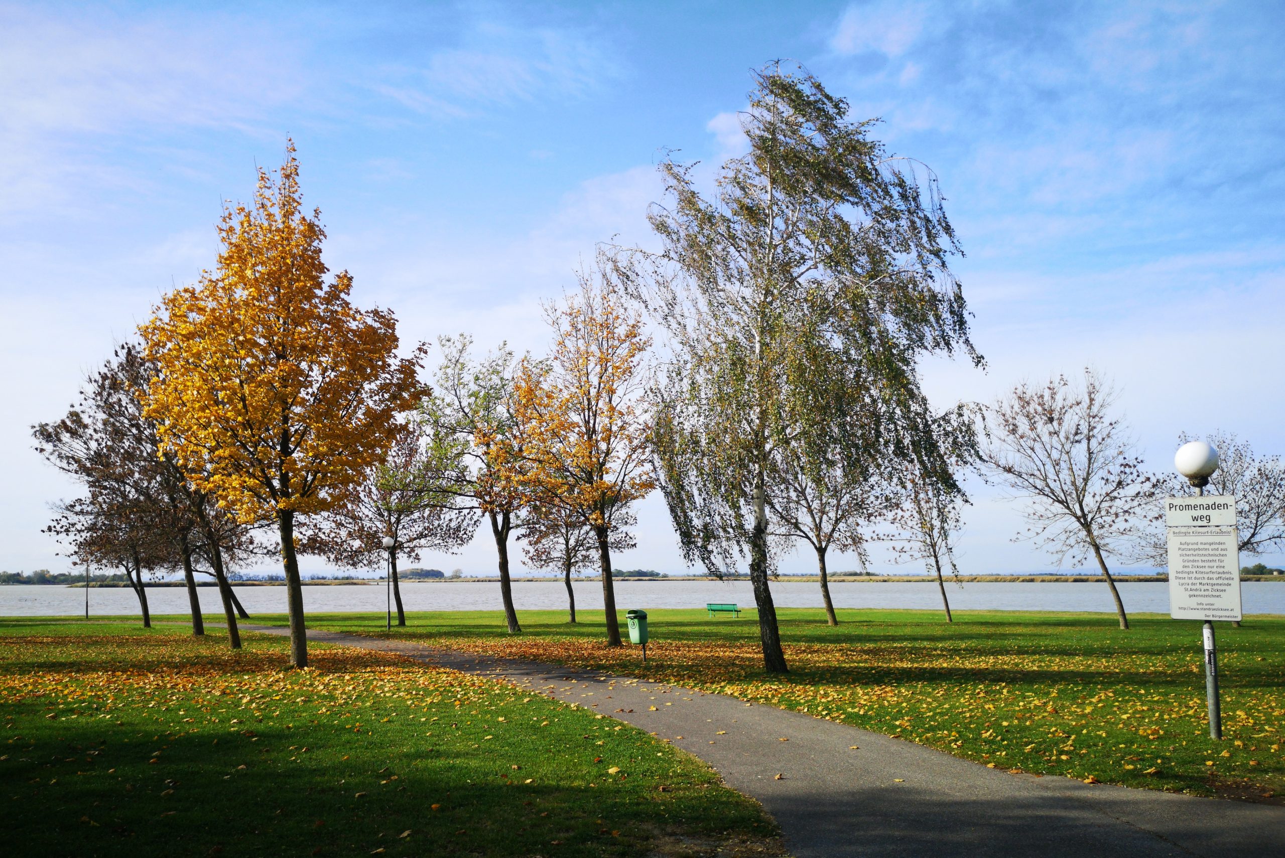 Arbeitseinsatz am Zicksee