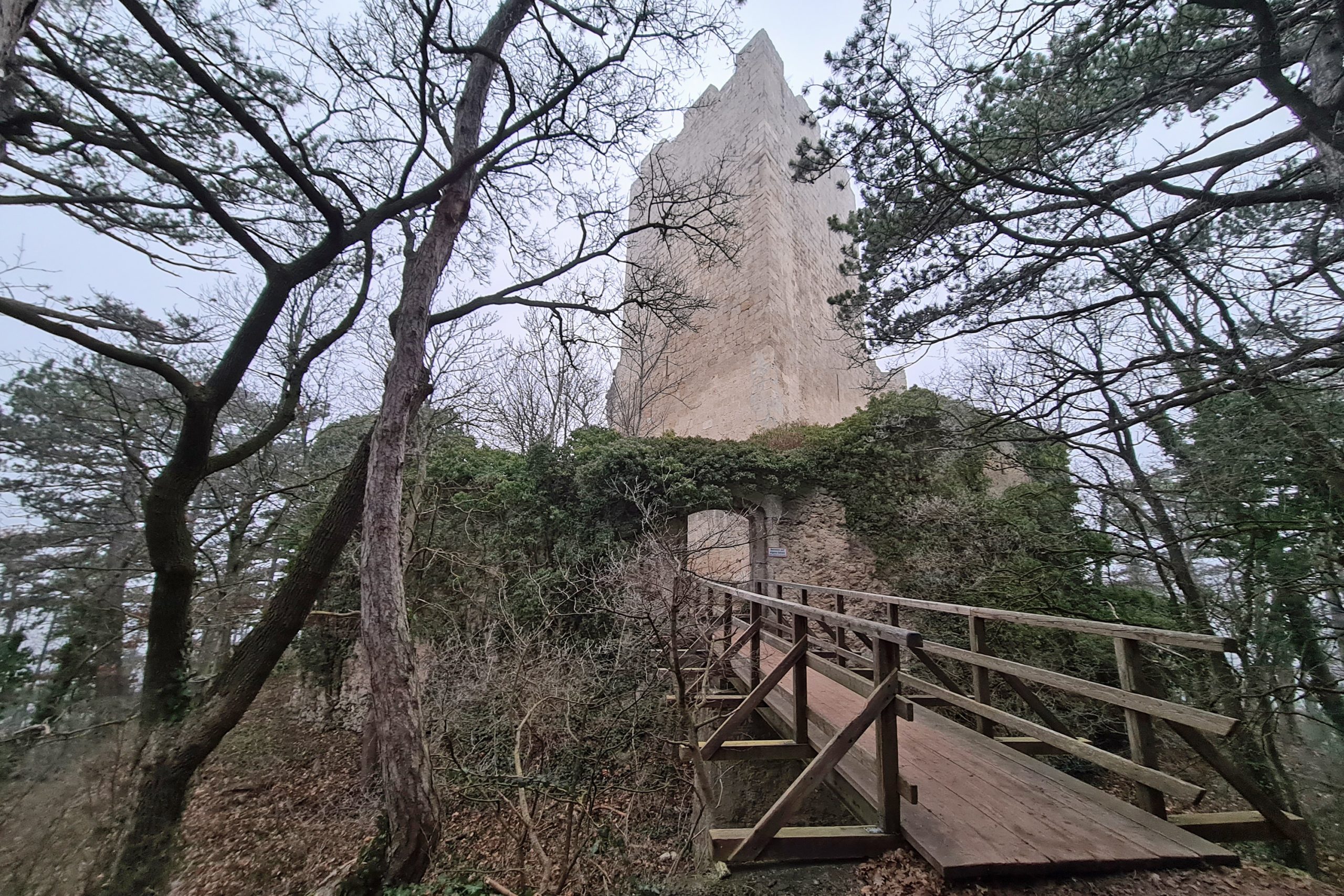 Ruine Rauheneck