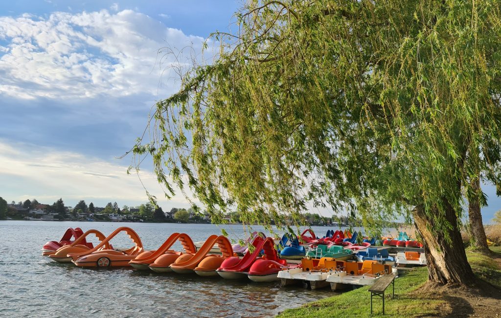 Frühling am See