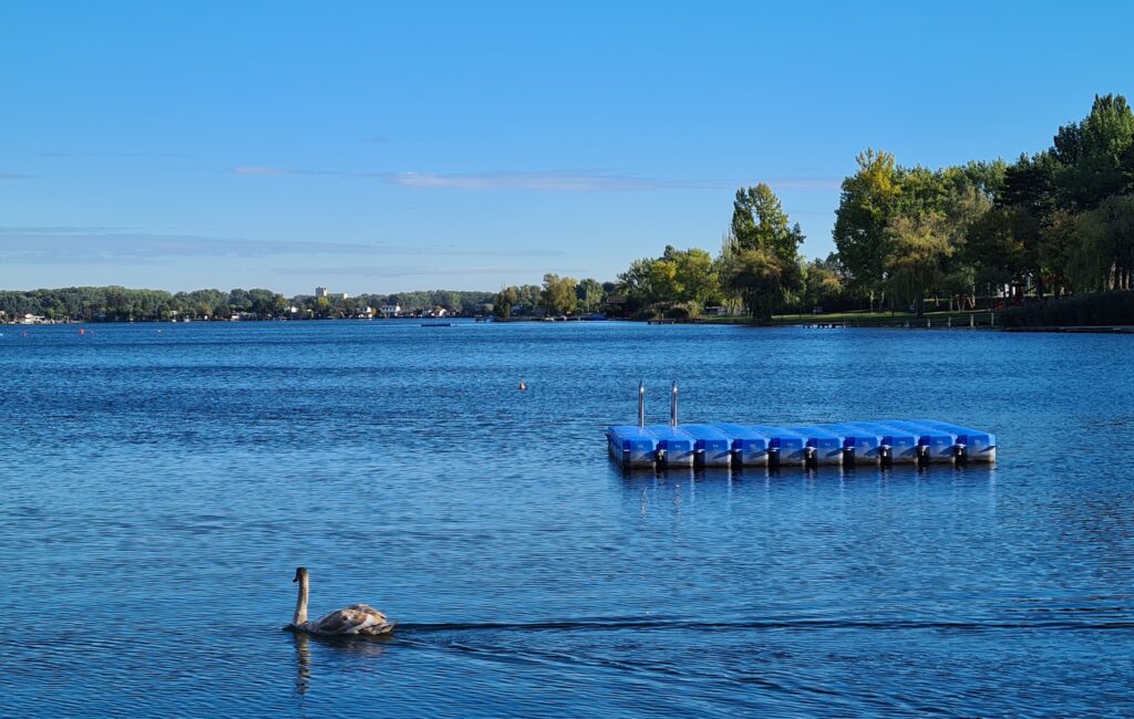 Morgenstimmung am See