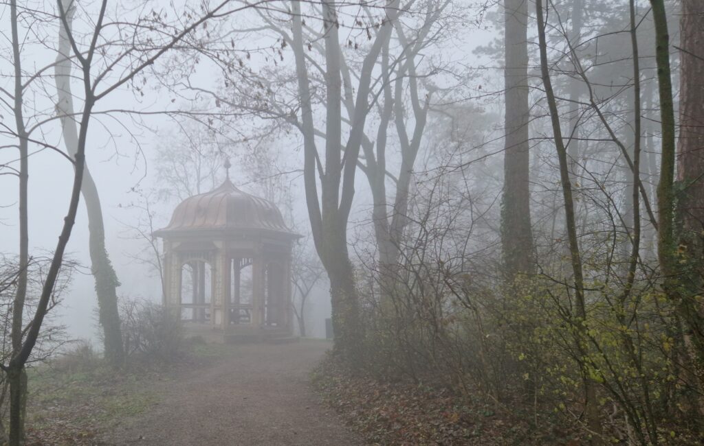 Rudolfshof im Nebel