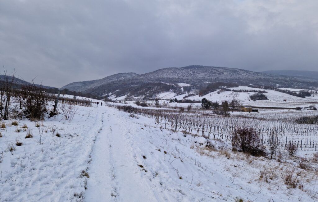 Winter in der Einöde