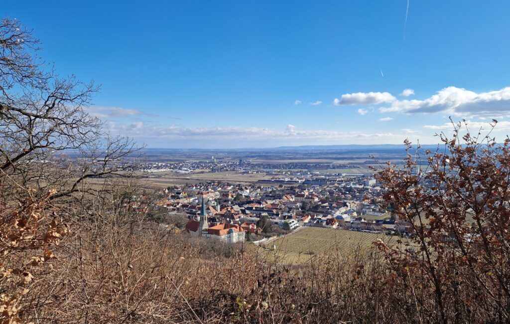 Blick auf Gumpoldskirchen