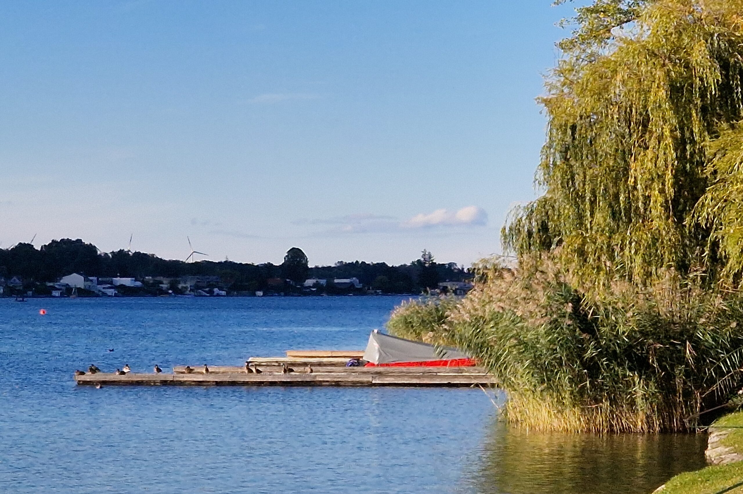 Herbst am See